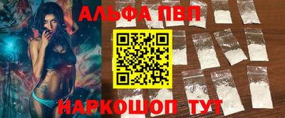 сатива Кингисепп