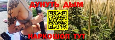 сатива Кингисепп