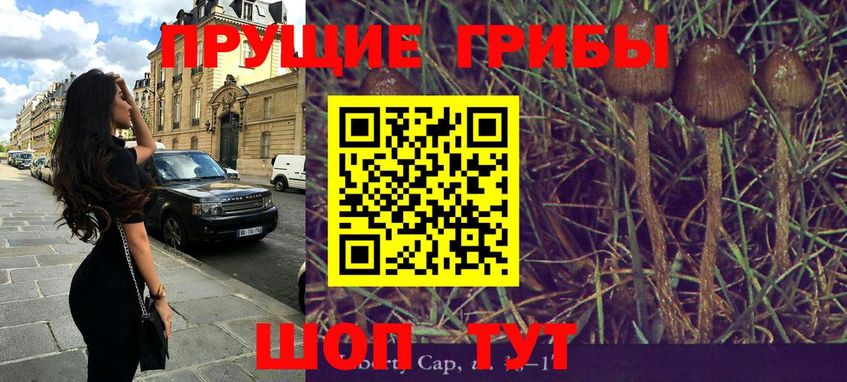 Галлюциногенные грибы ЛСД  Псилоцибиновые грибы Psilocybe  Заречный  Вход с VPN 