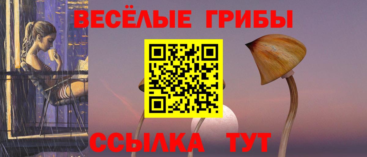 Псилоцибиновые грибы Magic Shrooms Заречный